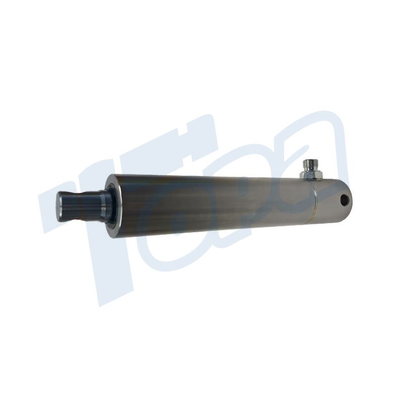 return spring hydraulic brake cylinder for tilt trailer Topa